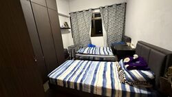 Opera Estate (D15), Terrace #590043471